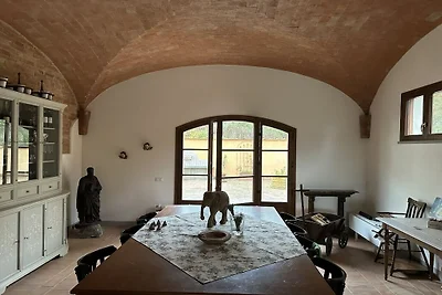 Fornace del Conte - Vigneto