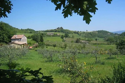 Ripa d'Elce, appartamento vacanze Glicine