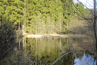 Eifel-Landhaus Habicht, Lissendorf