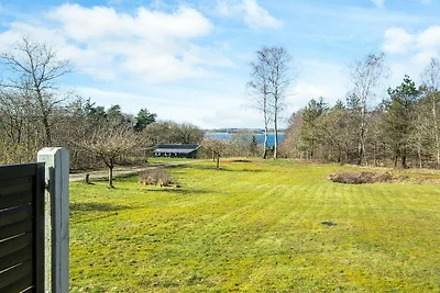 7 persone case ad Skals-By Traum