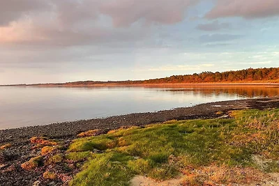 6 persone case ad Farsø-By Traum