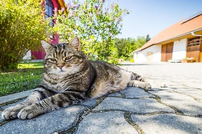 Kuća za odmor Dopust za oporavak Eisenberg