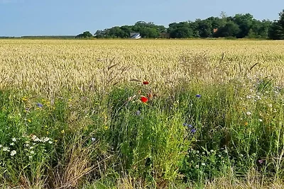 4 Personen Ferienhaus in Ålbæk-By Traum