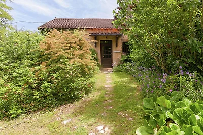 Heritage gîte in Aquitaine mit...