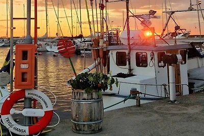 5 sterren vakantie huis in Byxelkrok
