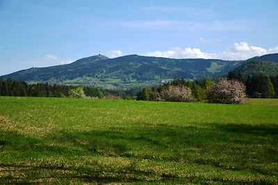 Villa in der Nהhe eines Waldes in Hlavice, Ts...