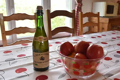 Charakteristisches Haus mit beheiztem Pool