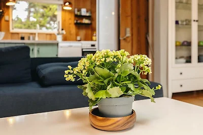 4 Personen Ferienhaus in Væggerløse