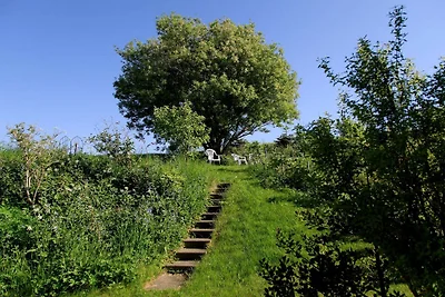 6 Personen Ferienhaus in Knebel