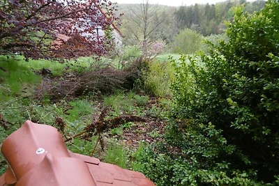 Ferienhaus mit 1 Schlafzimmer