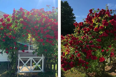 4 Sterne Ferienhaus in FÄRJESTADEN
