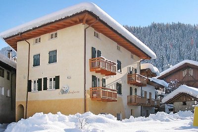 Wohnung in Pellizzano mit Heizung