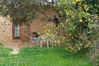 Casa vacanza rustica les corts del mas virrei