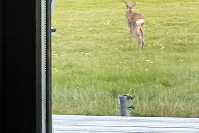 6 Personen Ferienhaus in Øster Assels-By...