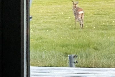 6 Personen Ferienhaus in Øster Assels-By...