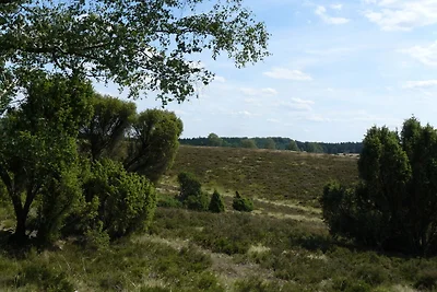 Casa Vacanze a Wietzendorf per 5 Persone