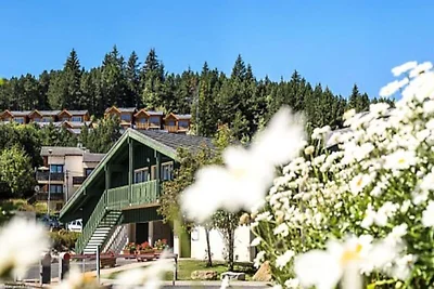 Studio 3 Personen Komfort