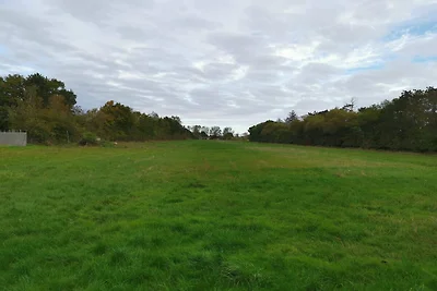 6 Personen Ferienhaus in Dannemare-By Traum