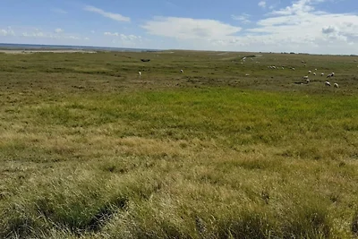 4 persoons vakantie huis in Rømø-By Traum