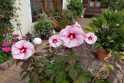 Casa Renate per single