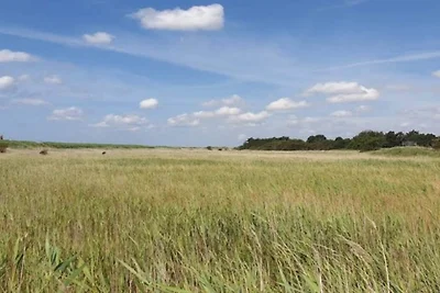 Kustenserenitat in Faldsled-By Traum