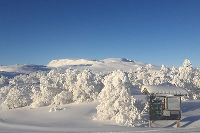 4 Personen Ferienhaus in GEILO