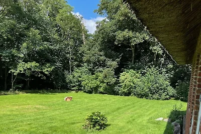 Casa de vacaciones con 2 dormitorios