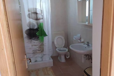 One Bedroom Apartment With Terrace (A4)