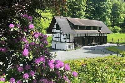 Ferienhaus in der Natur bei Winterberg