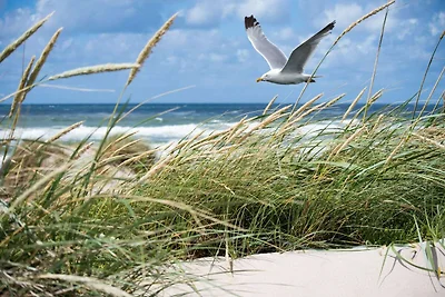 Apartment am Meer am Albert Beach