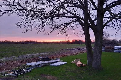 Huisje in Veluwe bij Hoge Veluwe Park
