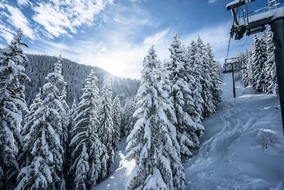 Monolocale per 4 persone