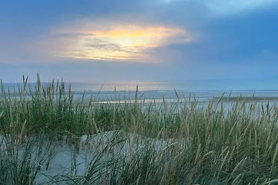 10 Personen Ferienhaus in Blåvand