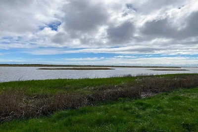 6 Personen Ferienhaus in Hadsund-By Traum