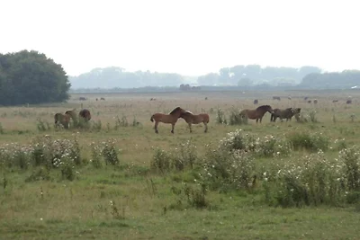 Umgebung (Sommer) (1-5 km) Umgebung (Sommer) (1-5 km)