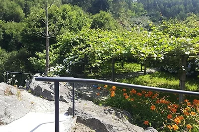 Casa vacanze a Vale de Cambra