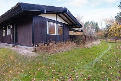 6 Personen Ferienhaus in Hundested-By Traum