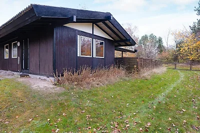 6 Personen Ferienhaus in Hundested-By Traum