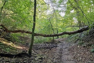 10 Personen Ferienhaus in Brovst
