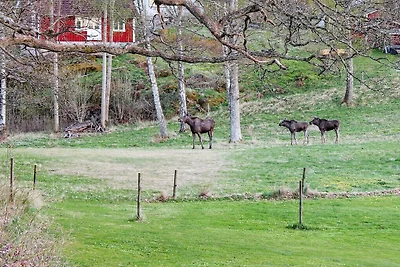 5 Personen Ferienhaus in ASKERÖARNA-By Traum
