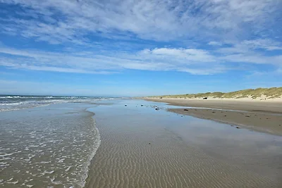 FelicitaÌ€ marina a Saltum Strand-By Traum