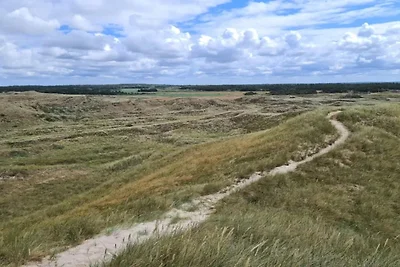 4 stelle case ad Ulfborg