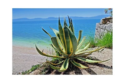 Wohnung in Podaca mit Schwimmbecken
