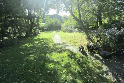 Ferienhaus in GROET mit Schwimmbecken