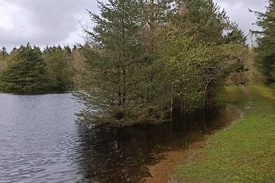 6 persone case ad Oksbøl-By Traum