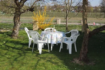 Vakantiehuis met 3 slaapkamers