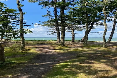 4 Personen Ferienhaus in Ebeltoft-By Traum
