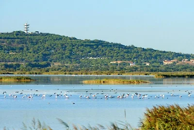Charmante strandretraite in Agde