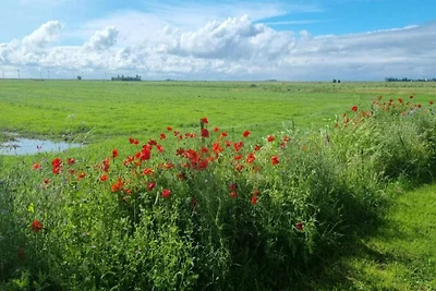 Bungalow in Sondel nahe Slotermeer
