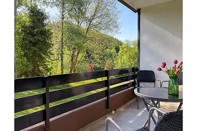 Ferienwohnung in Winterberg